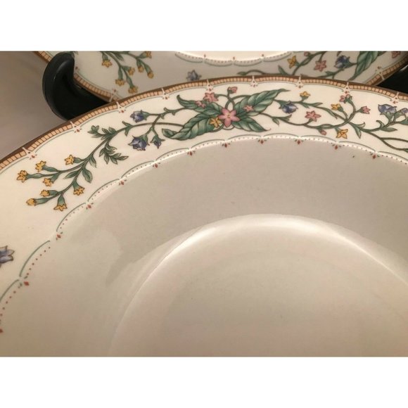 Farberware Wellesley Fine China - Pair Large Rimmed Soup Bowls - 9.25" - #486 - Picture 4 of 7